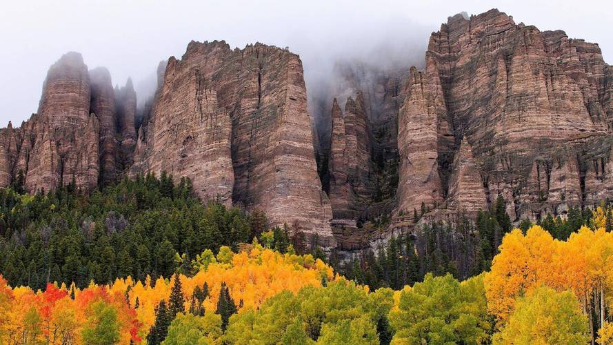 jogo-do-brighton - Mercado de apostas brasileiro