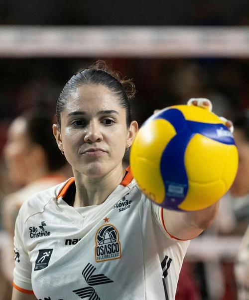 ricardo-salles-família-moreira-salles - Mercado de apostas brasileiro