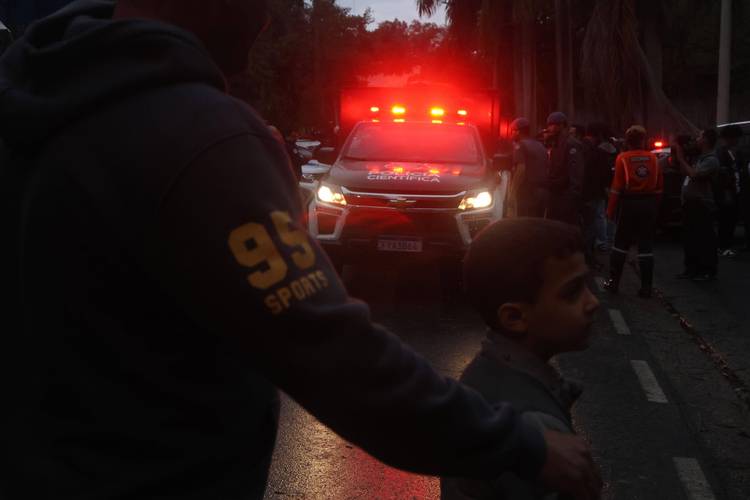 homem-alfa - Mercado de apostas brasileiro
